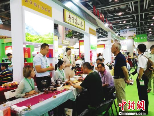圖為客商品茗?！⒌怯?攝
