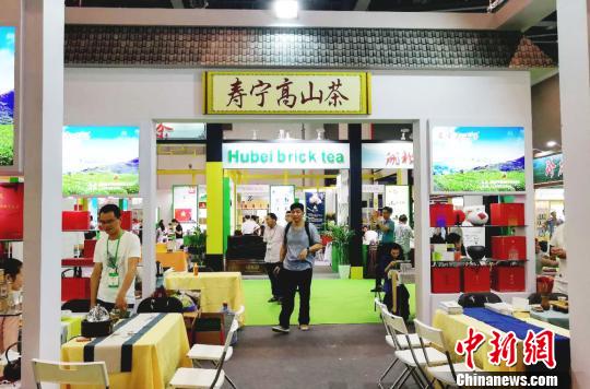 福建壽寧高山茶受寵中國國際茶葉博覽會