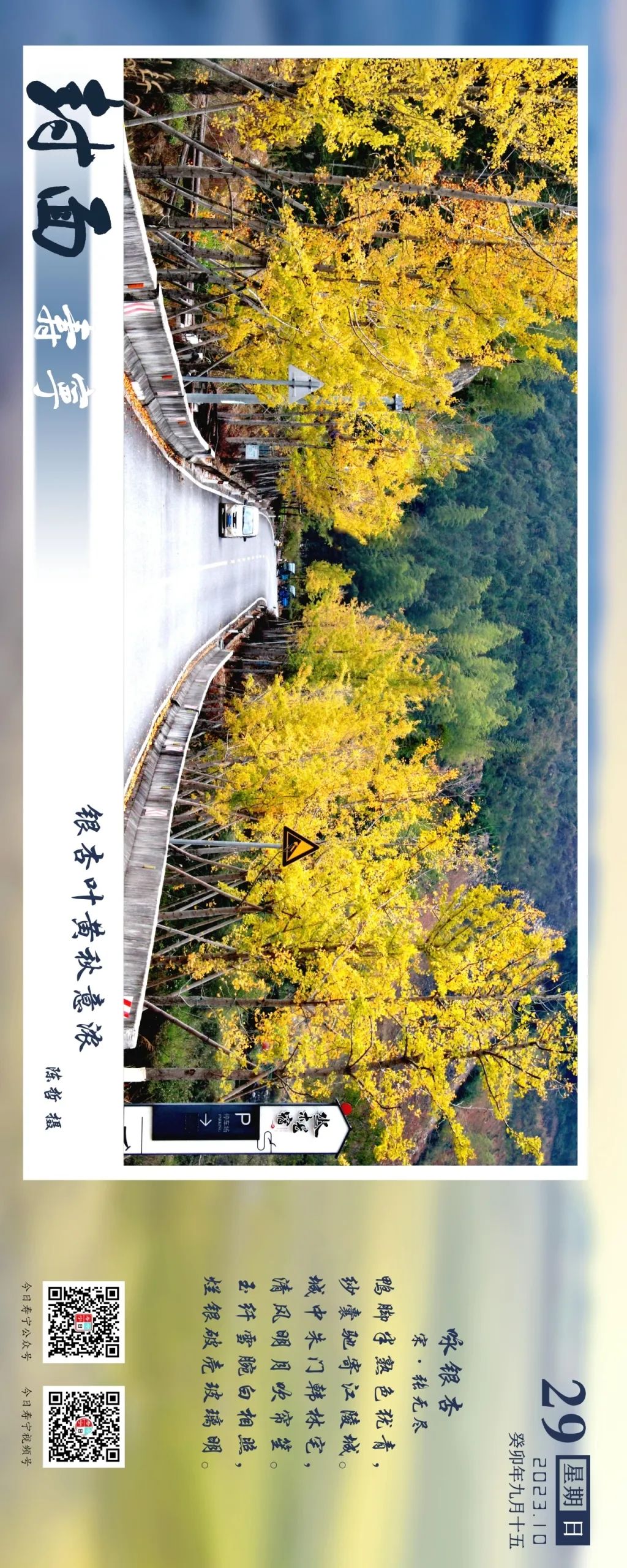 0ff35ec645e6dd24f23d51c98062c877.jpg