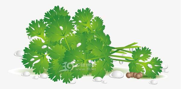 香菜,腎臟,腎臟毒素,腎臟排毒